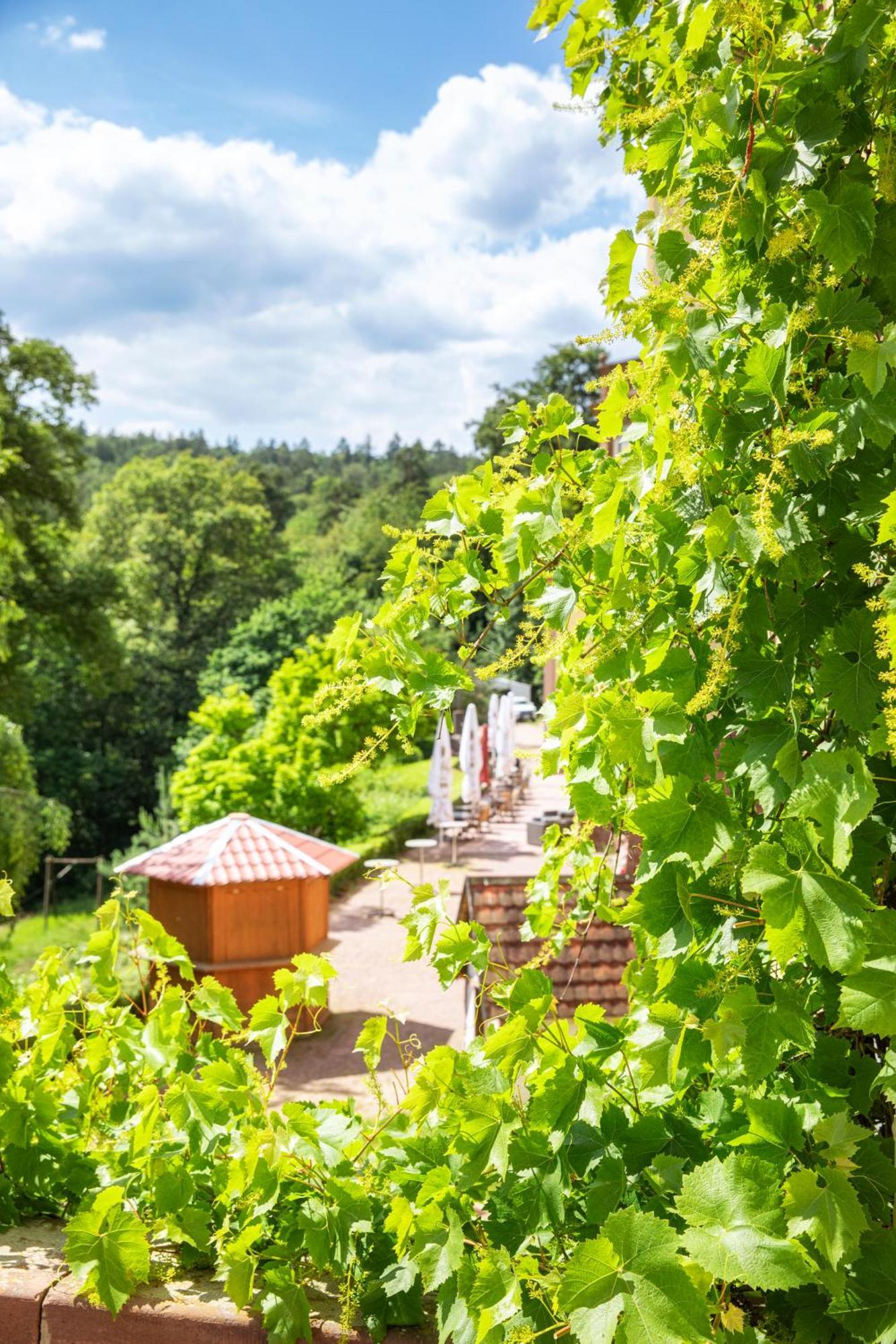 Roomingtons Hotel Franziskushoehe Lohr 외부 사진