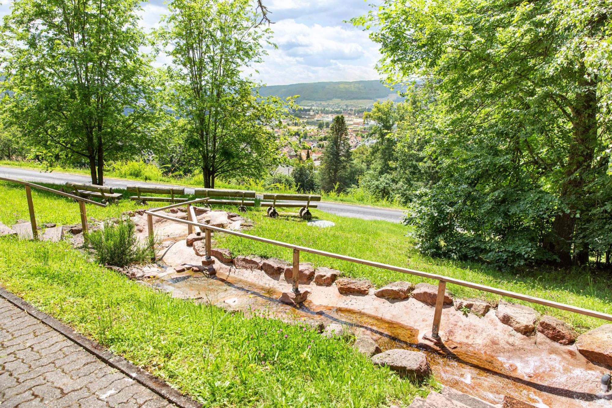Roomingtons Hotel Franziskushoehe Lohr 외부 사진